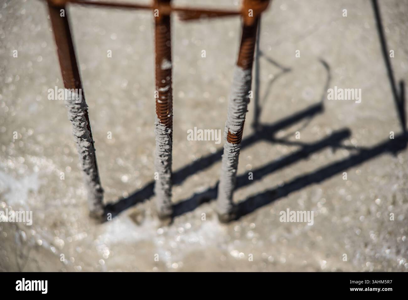 rebar (reinforcing bars) coming out of a freshly poured concrete slab ...