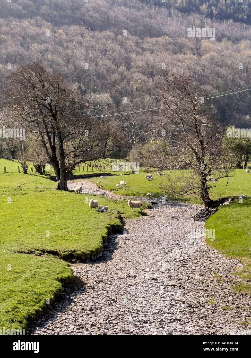 Farming Agriculture Mid Wales Landscape Hi res Stock Photography And farming-agriculture-mid-wales-landscape-hi-res-stock-photography-and