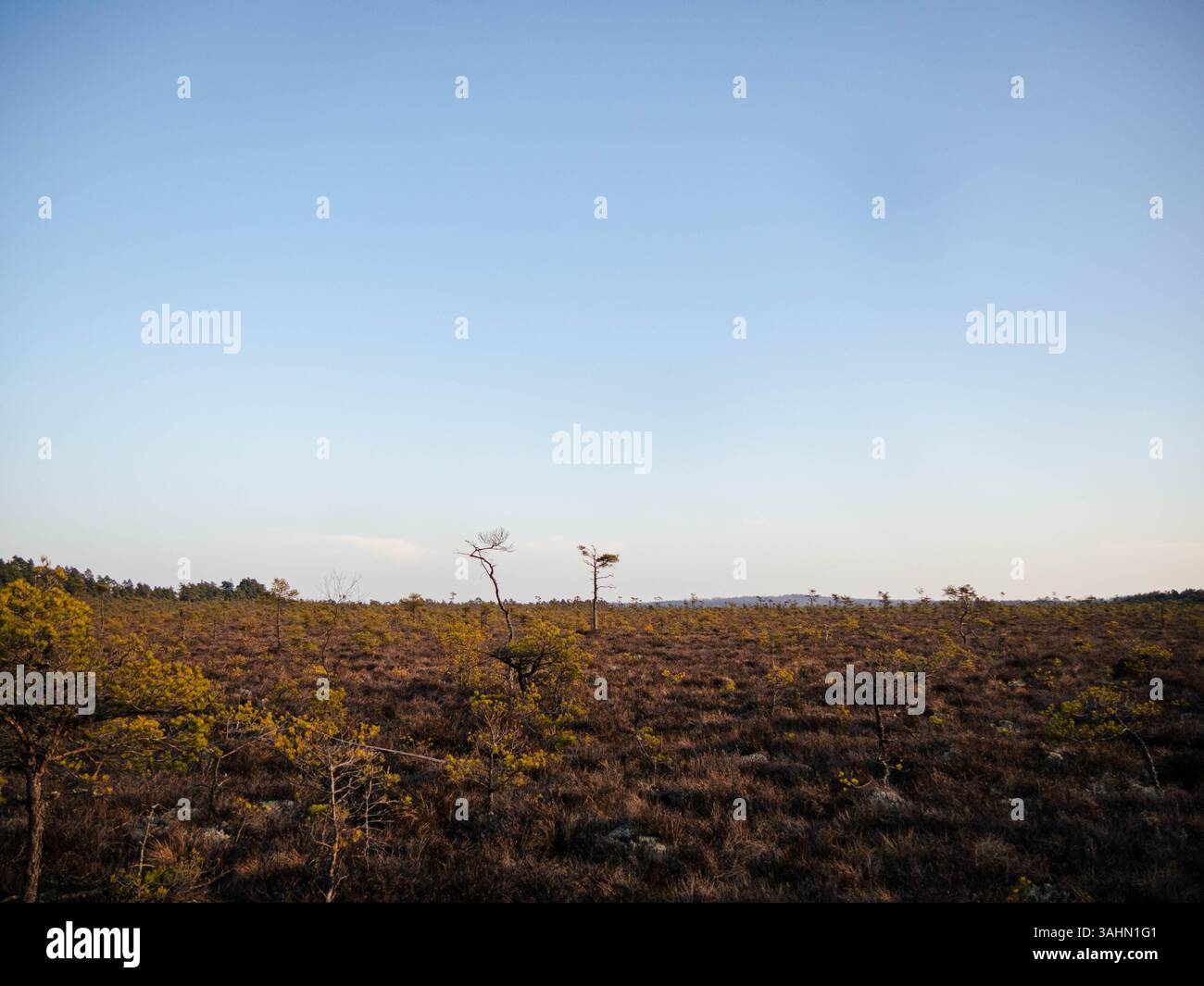 Store Mosse An expansive landscape within Store Mosse National Park in Sweden ...