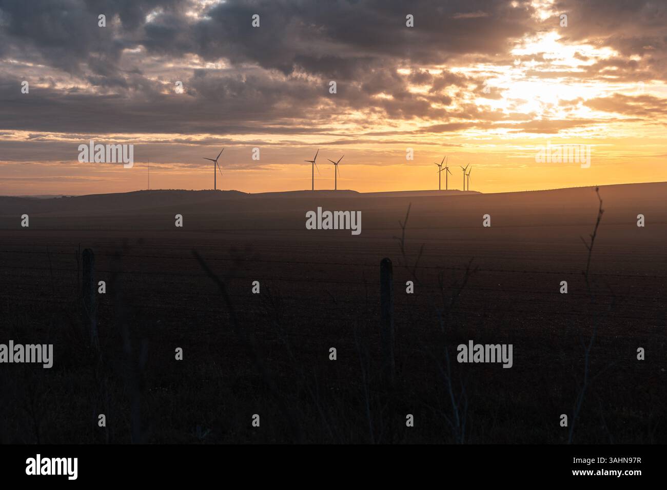 A peaceful rural scene at sunset featuring wind turbines standing tall ...