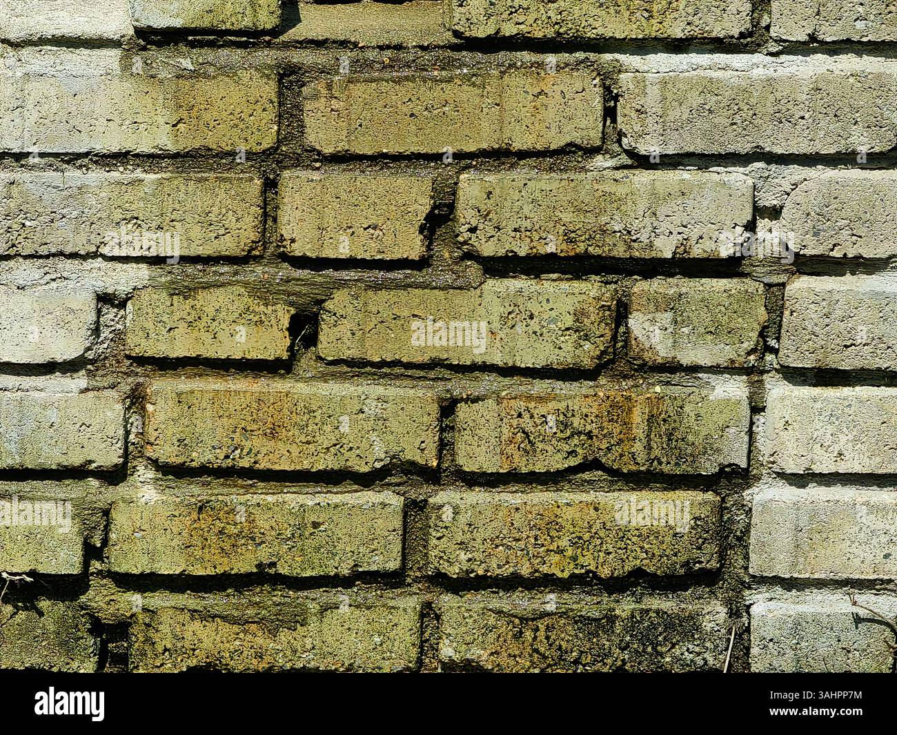 Faded Echoes: Wet Yellow Brick Wall Stock Photo