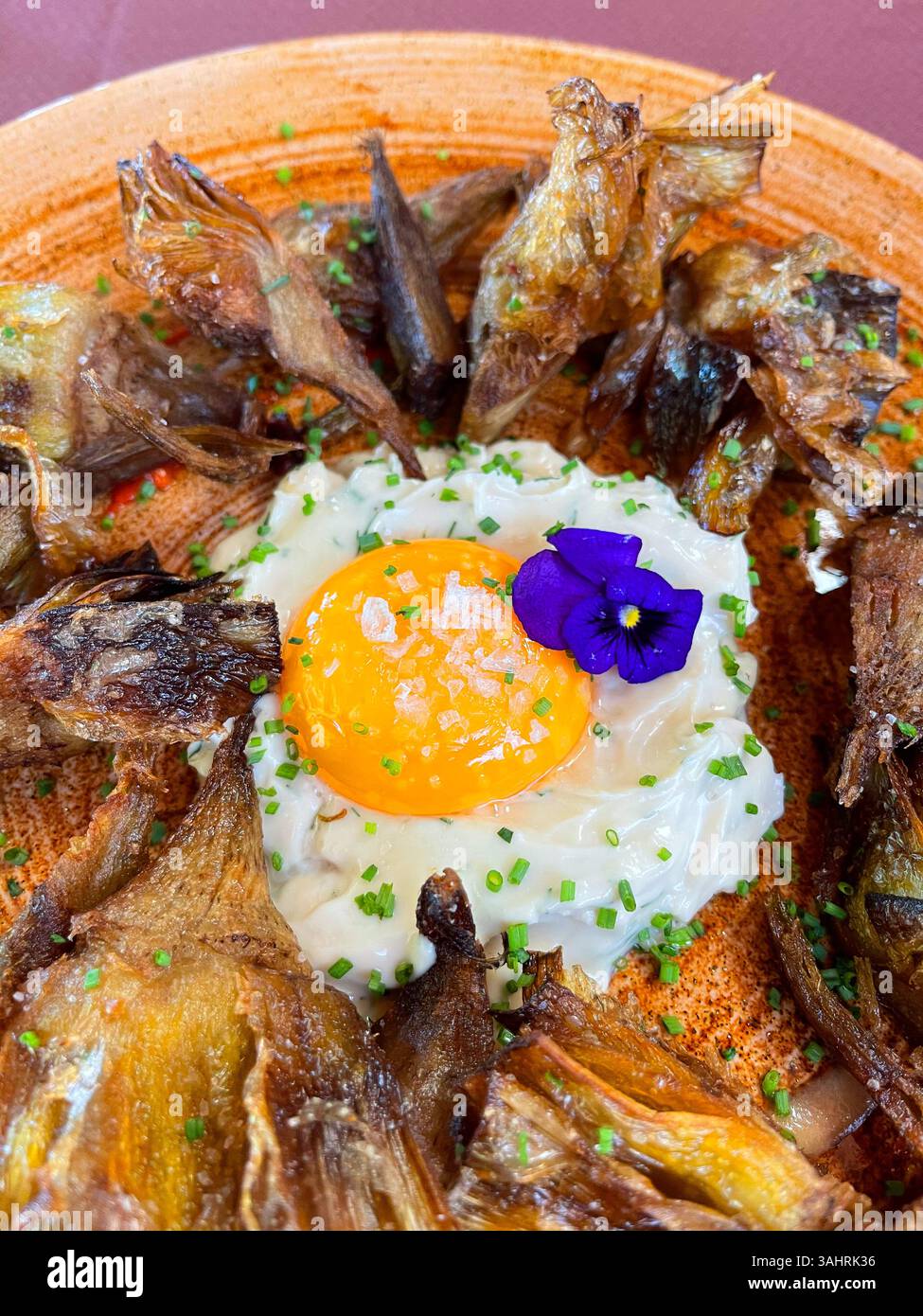 Fried artichokes with yolk and cheese as fried egg. Spain. - Smartphone Captured Stock Image