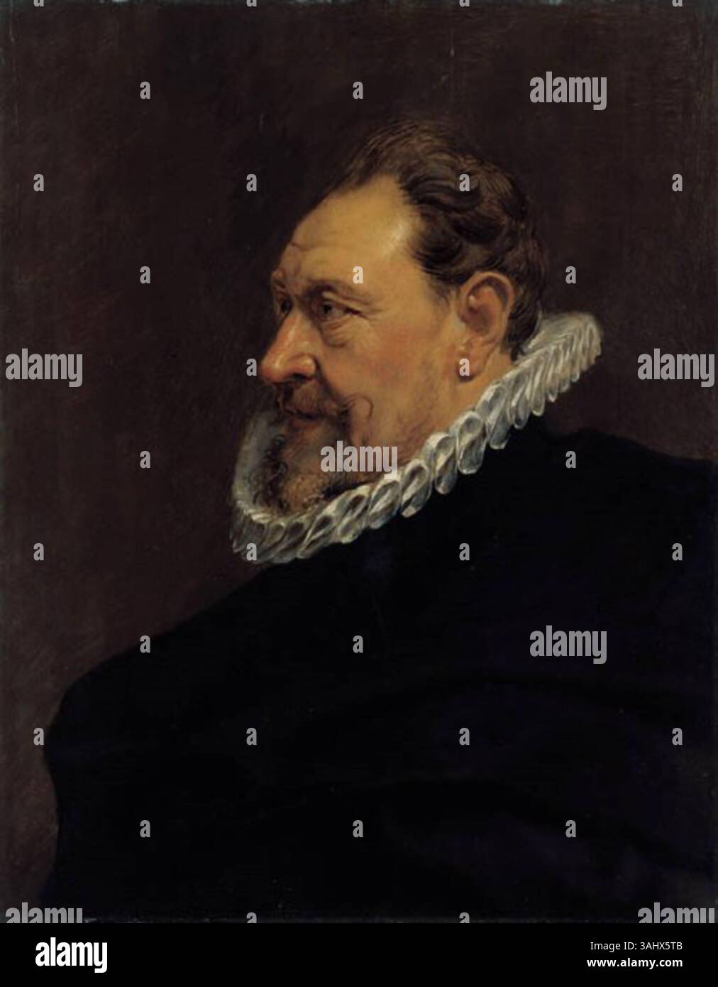 This 1540 portrait attributed to the circle of Peter Paul Rubens showcases a man in formal attire. The oil on panel work is part of the Cook collection and exemplifies the style of the Flemish Baroque artist's school. Stock Photo