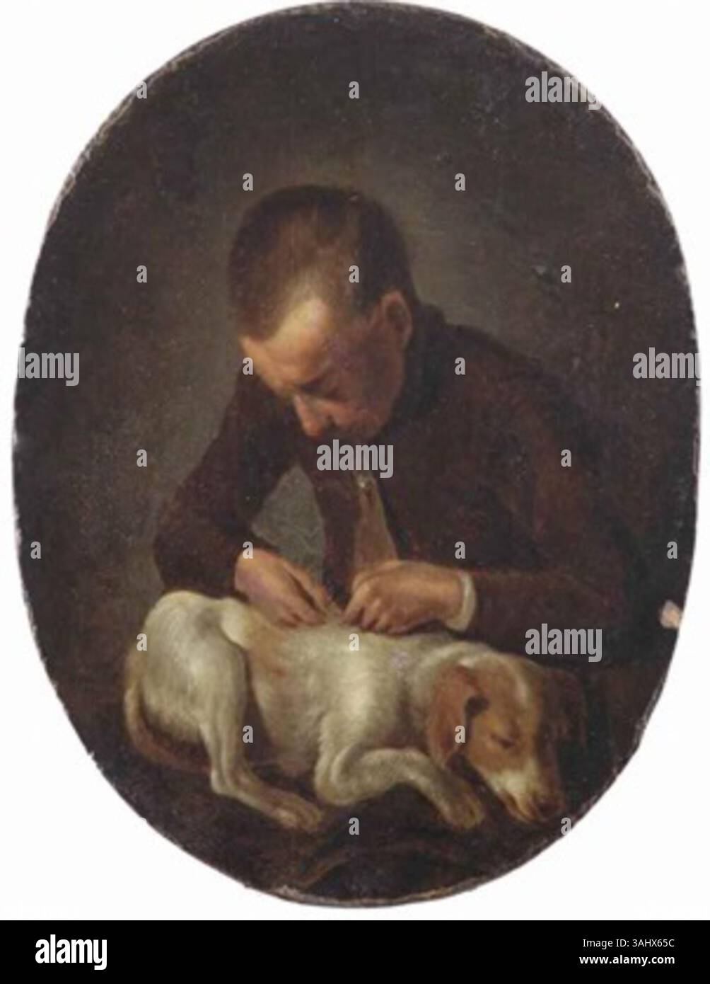 Boy and dog painting hi-res stock photography and images - Page 4