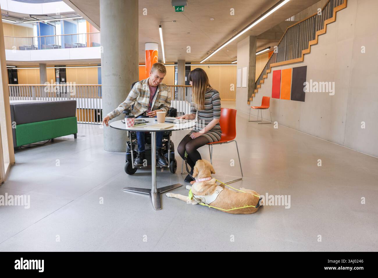 Disabled coworkers in office Stock Photo