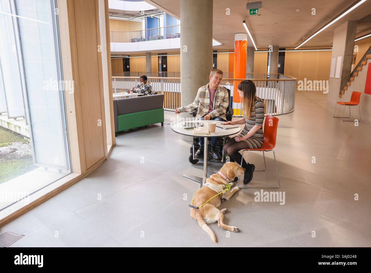 Disabled coworkers in office Stock Photo