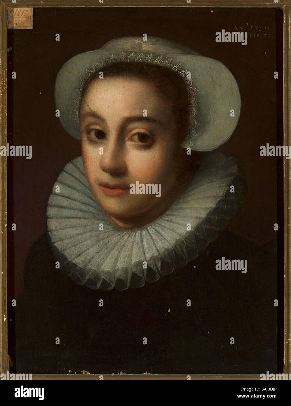 A portrait of an unknown woman painted in 1590. The oil on oak panel is ...