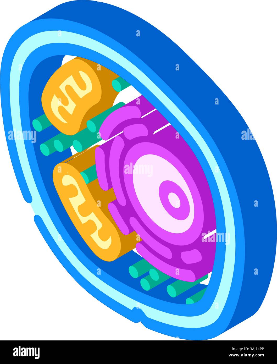 Transgenic cells Stock Vector Images - Alamy