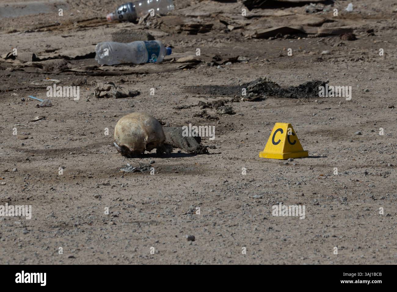 Human skull remains found at a crime scene under investigation by local authorities in Ciudad Juárez, Mexico. Forensic personnel and law enforcement secured the area for evidence collection. Stock Photo