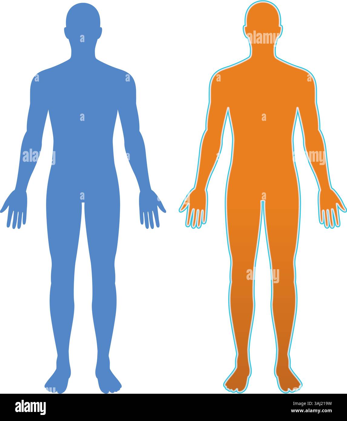 Vector Humain Vector illustration of two human silhouettes in contrasting blue and ...