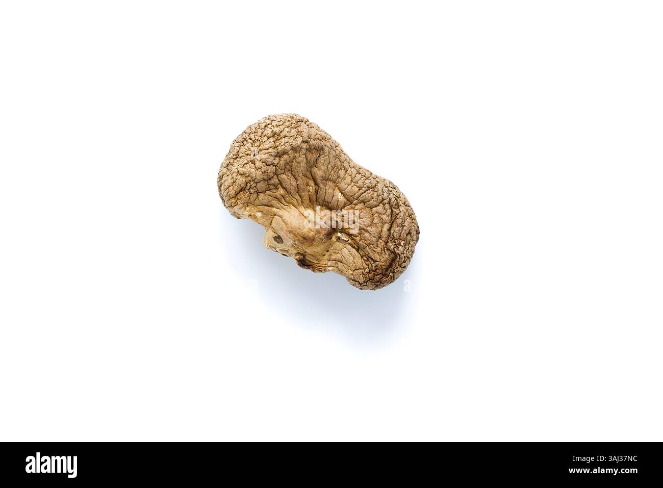 This photograph of dried shiitake mushrooms on white emphasizes their textured, rustic surfaces and rich umami tones, capturing the essence of a tradi Stock Photo