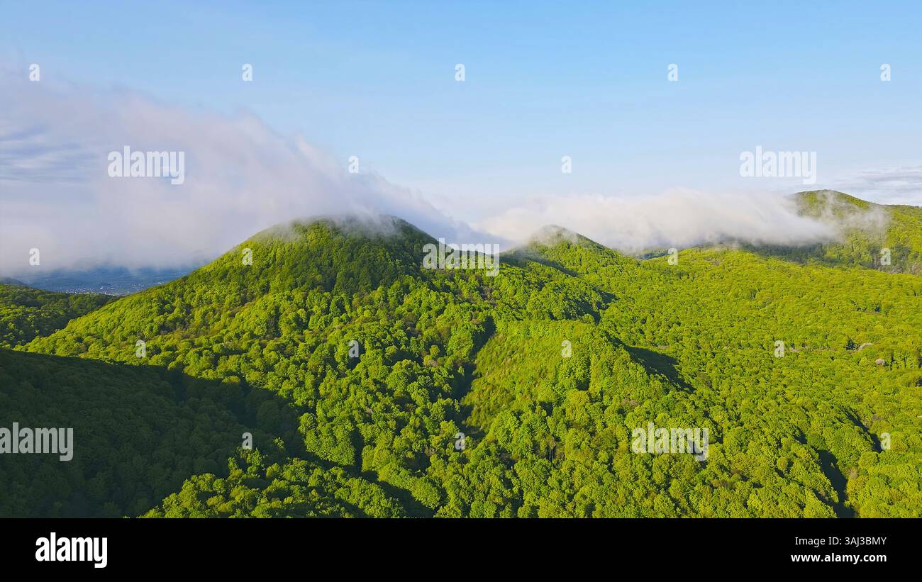 Lush Green Mountain Landscape with Fog. Aerial view of a lush green ...
