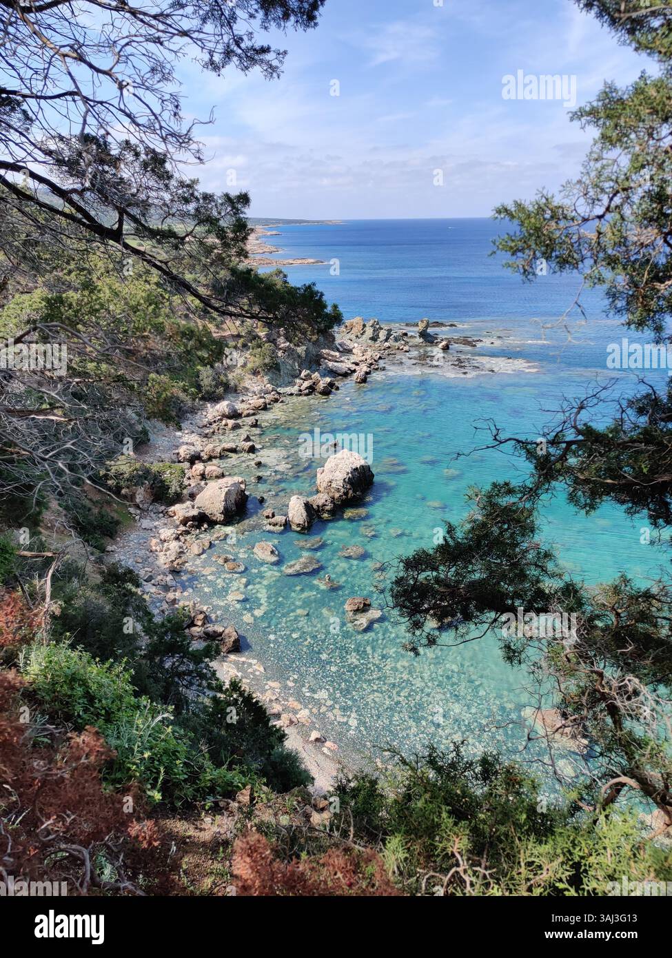A hidden coastal view in Cyprus, where pine branches frame turquoise waters and rugged rocks scatter along the untouched shoreline. - Smartphone Captured Stock Image A hidden coastal view in Cyprus, where pine branches frame turquoise waters and rugged rocks scatter along the untouched shoreline. - Smartphone Captured Stock Image