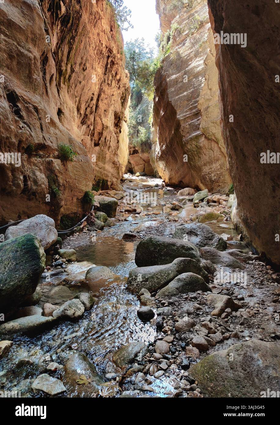 Avakas Gorge Nature Trail, Cyprus where sheer limestone walls rise above a winding stream in one of Paphos’ most breathtaking natural wonders. - Smartphone Captured Stock Image