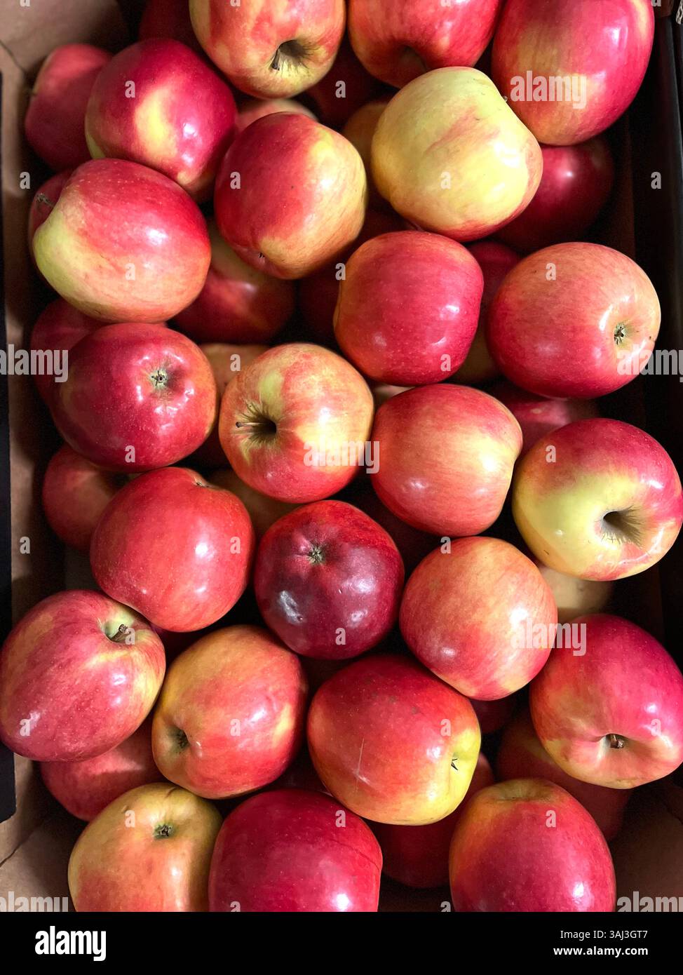 apples, red apples, cardboard crate, top view, fruits, warehouse, storage, agriculture, food supply, distribution, supply chain, agriculture, apple - Smartphone Captured Stock Image