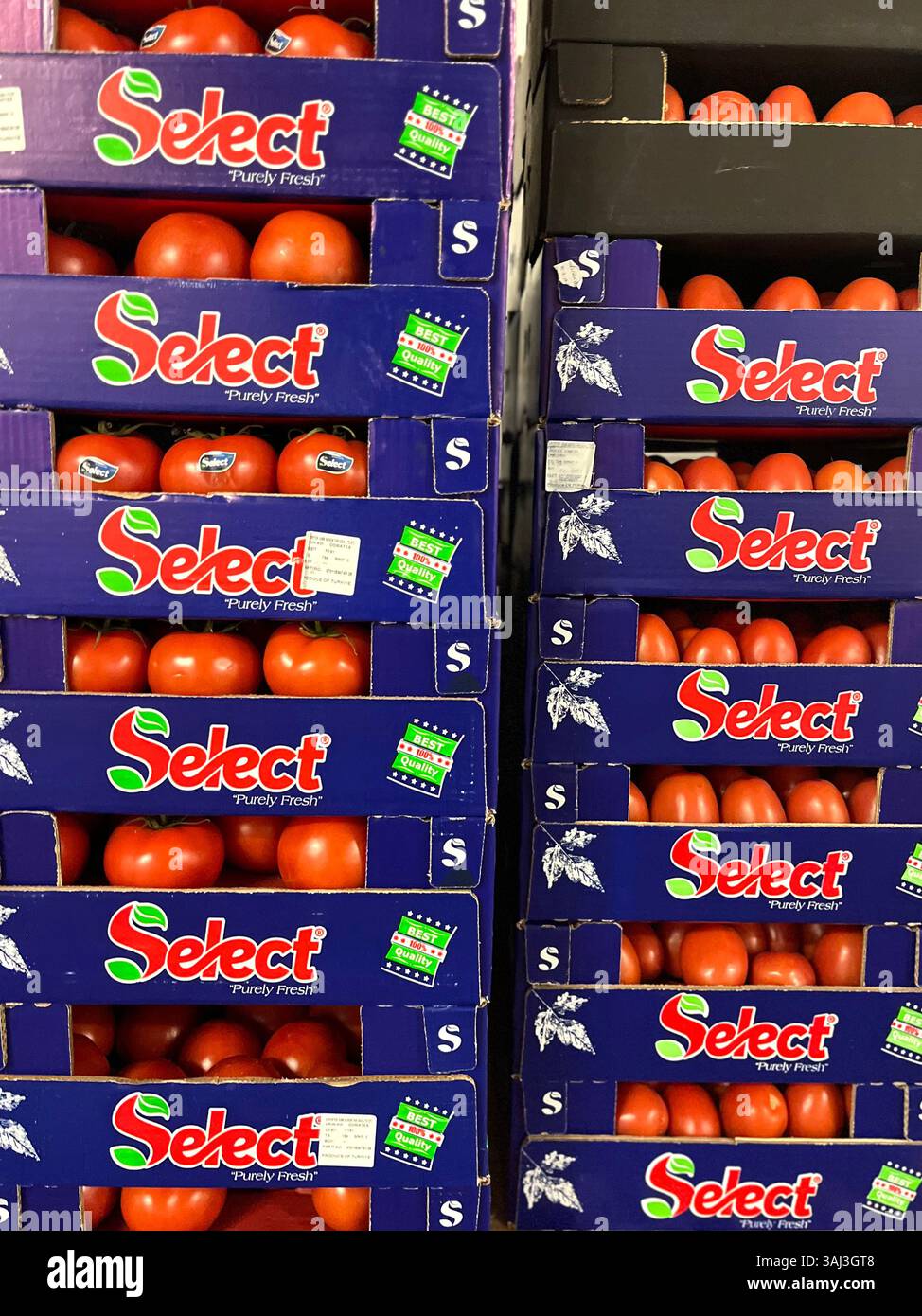 tomatoes, Select, crates of tomatoes, tomato crates, vegetables, storage, cardboard crates, logistics, vegetable storage, distribution, supply chain - Smartphone Captured Stock Image