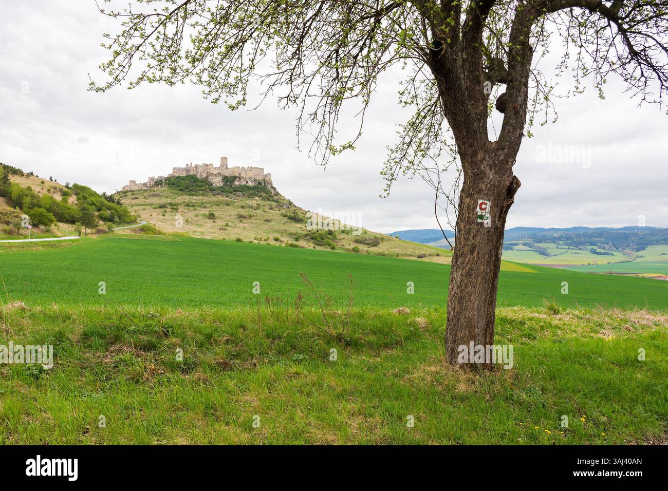 spis castle on the hill in spring. beautiful view. popular travel destination of slovakia. overcast sky. medieval architecture Stock Photo