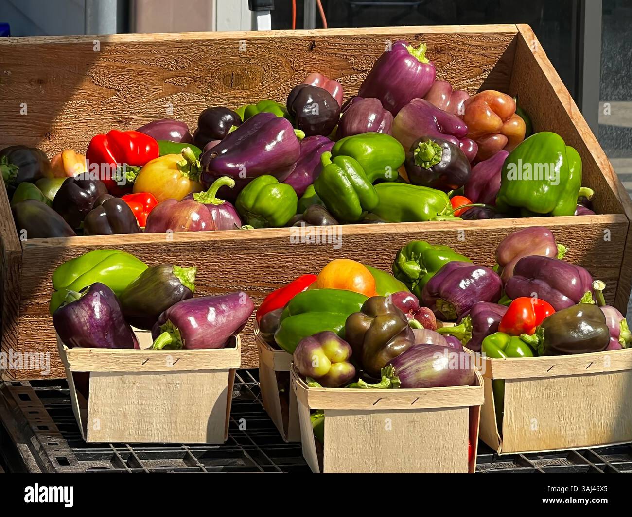 A rustic display of fresh multicolored bell peppers in wooden crates at ...