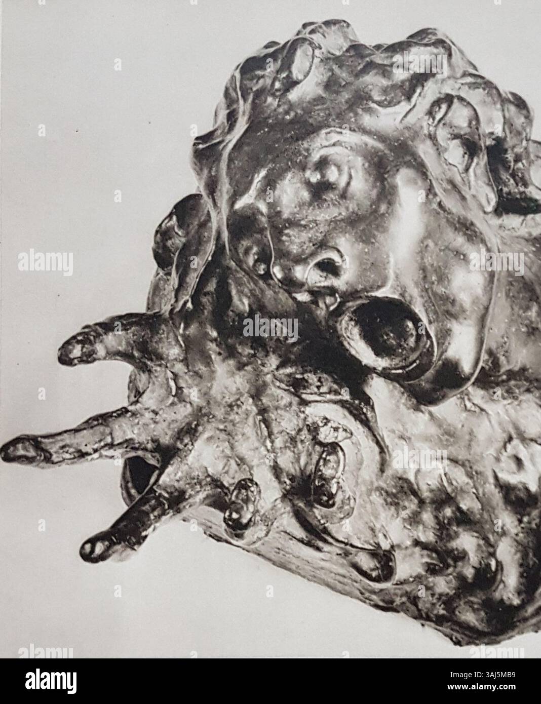 'Eländets skri' (The Cry of Suffering) by David Edström, created in 2020, is a contemporary artwork capturing human suffering through emotive imagery. The portrait photograph, part of Allhems Svenskt Konstnärslexikon, explores deep themes of hardship. Stock Photo