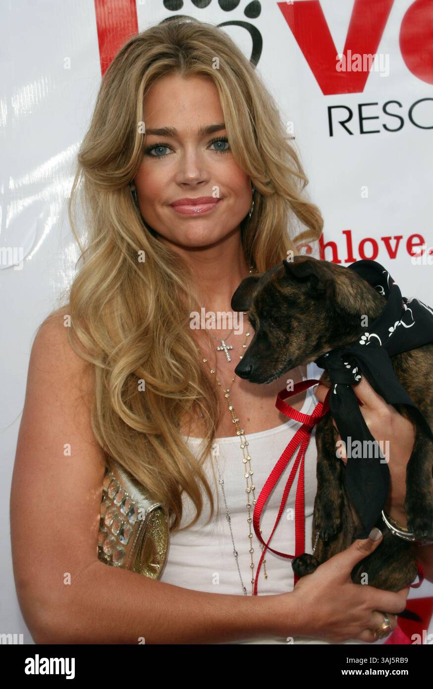 Denise richards playboy hi-res stock photography and images - Alamy