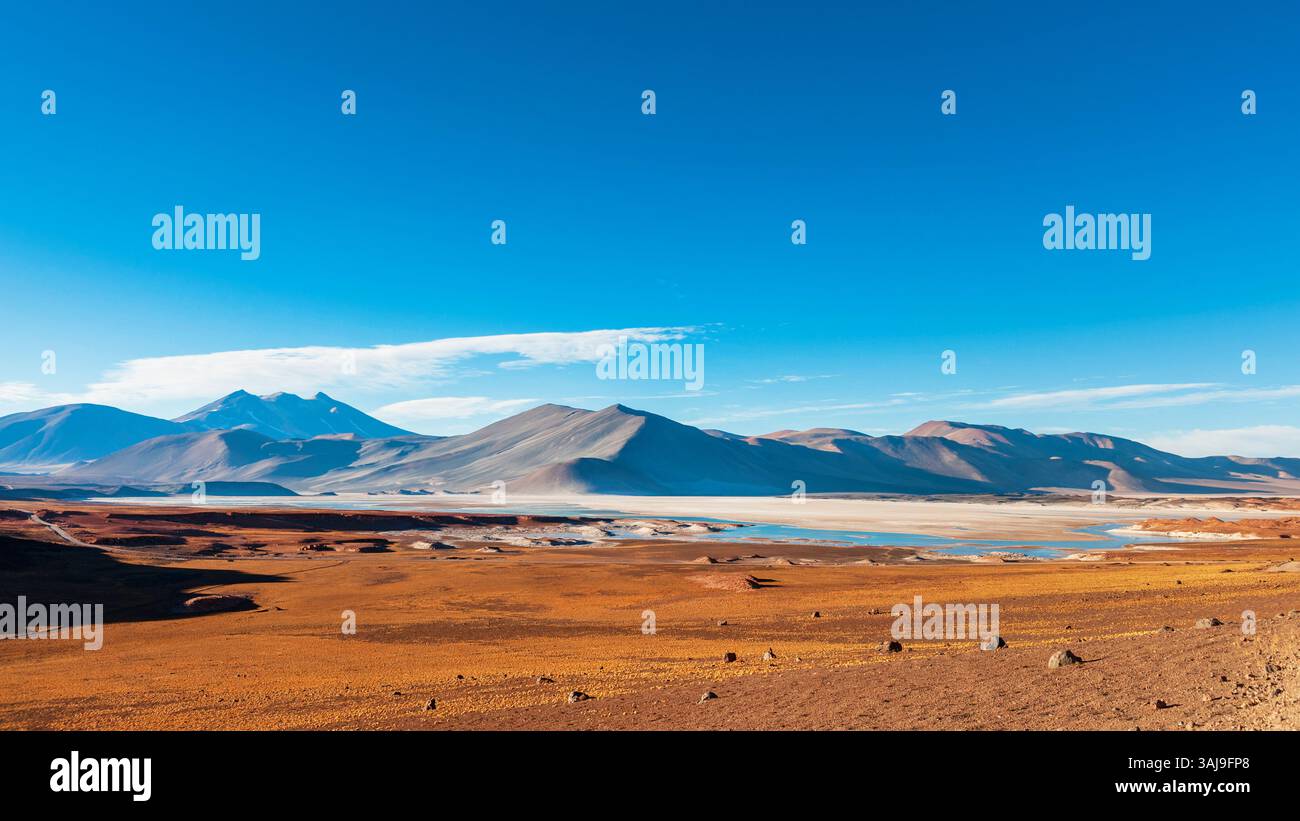 Talars Plaxe the Salar de Talar salt flat at an altitude of 4.000 meters, Andes ...
