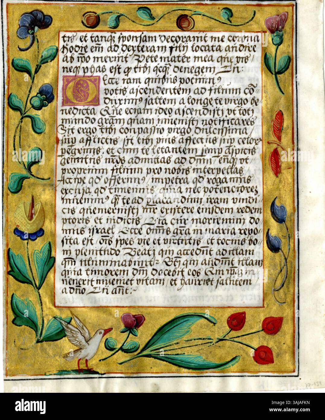 A leaf from a 16th-century Latin prayerbook, illuminated manuscript ...