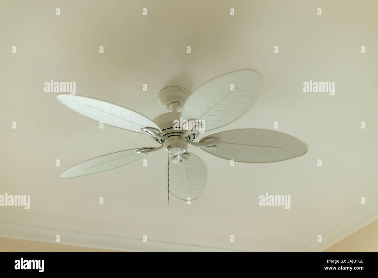 A ceiling fan with four wide blades spins quietly in a well-lit indoor area, providing a cool breeze on a warm day. The clean white design complements Stock Photo