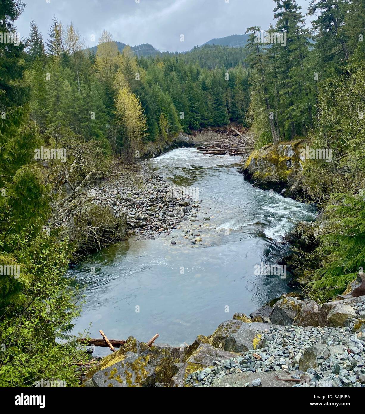 River Bending Through Forested Valley with Rocky Shoreline - Smartphone Captured Stock Image