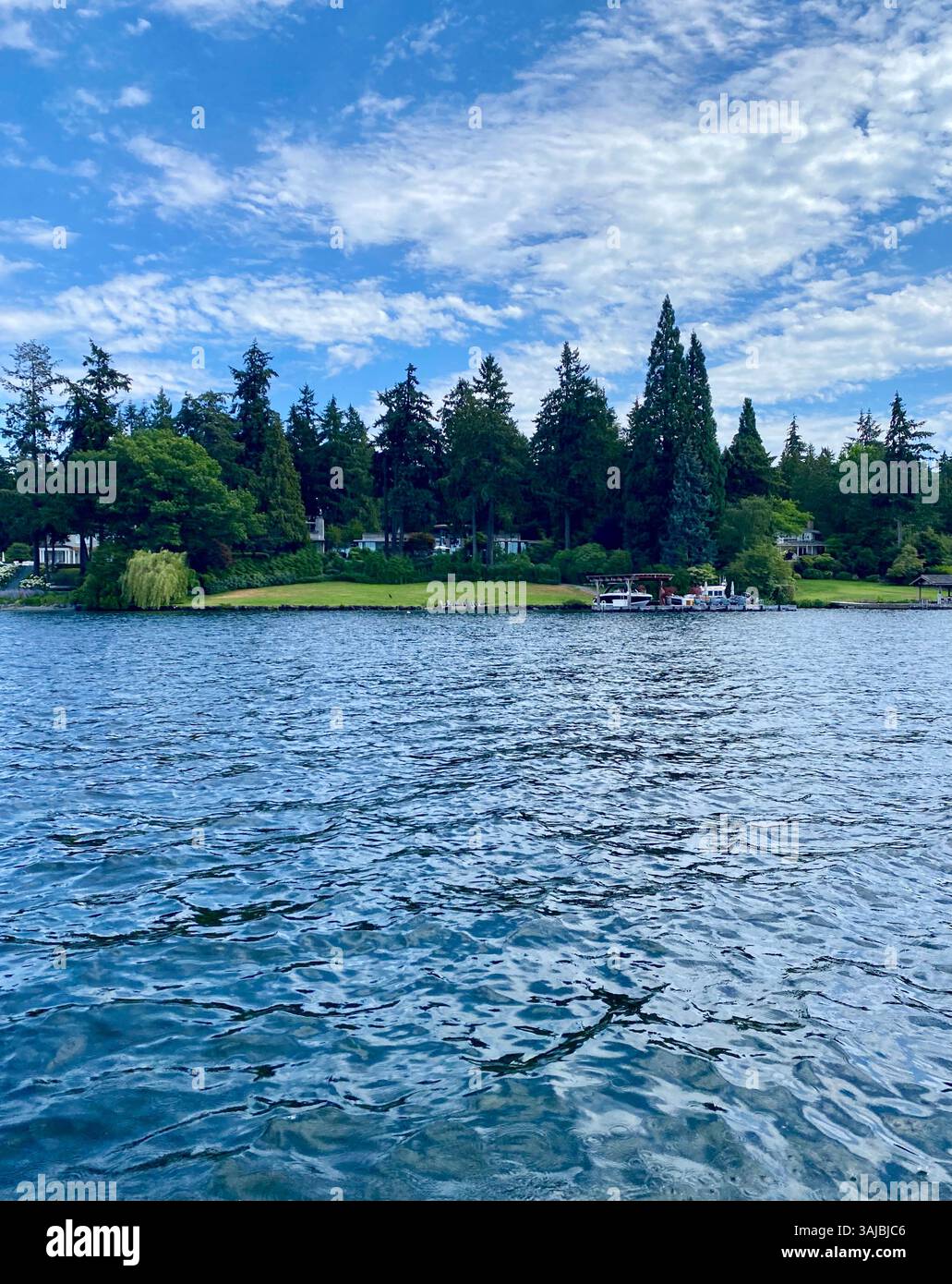 Lakeside View with Docks and Forested Shoreline - Smartphone Captured Stock Image