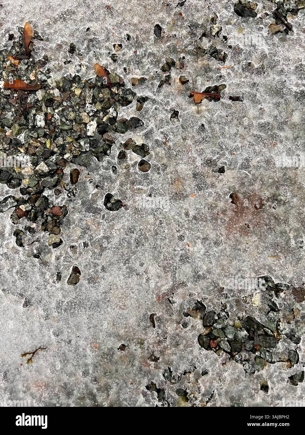 Frozen in Pebble and Time - Smartphone Captured Stock Image