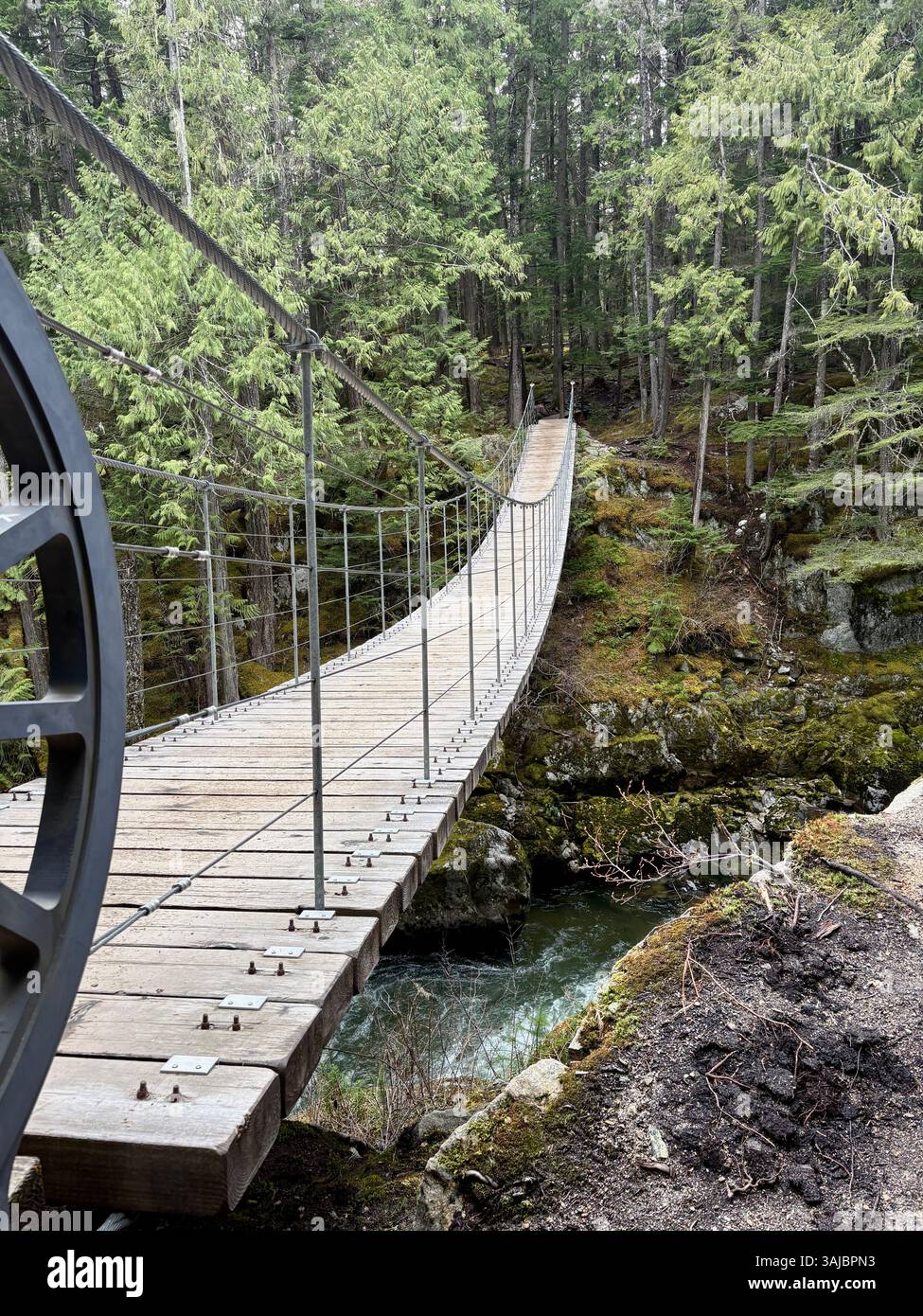 Suspension Footbridge Over River in Forest - Smartphone Captured Stock Image