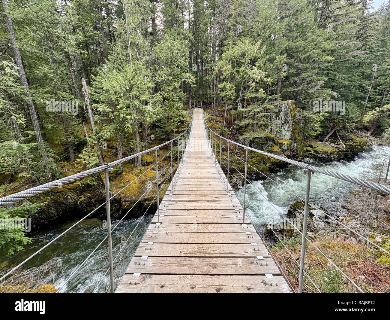 Suspension Bridge Over River Surrounded by Forest - Smartphone Captured Stock Image