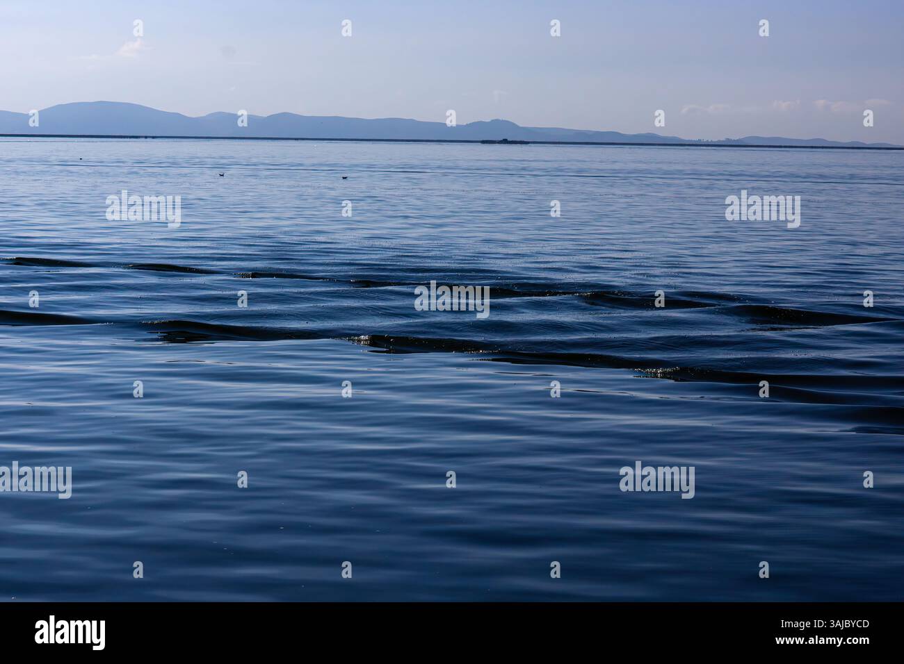 Beautiful waves on calm hi-res stock photography and images - Alamy