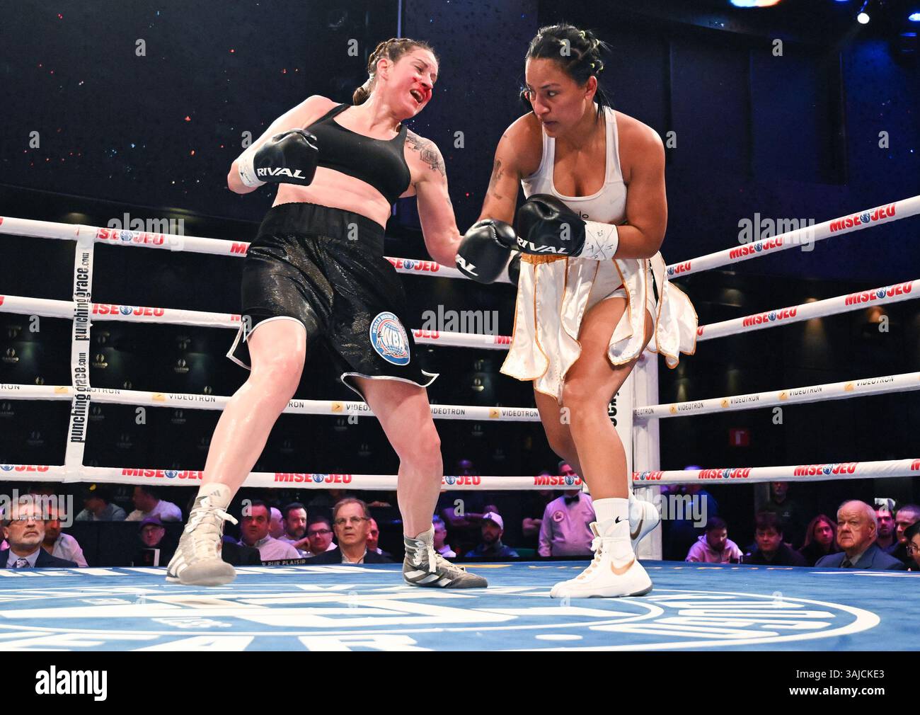 What to Expect From the Fight?