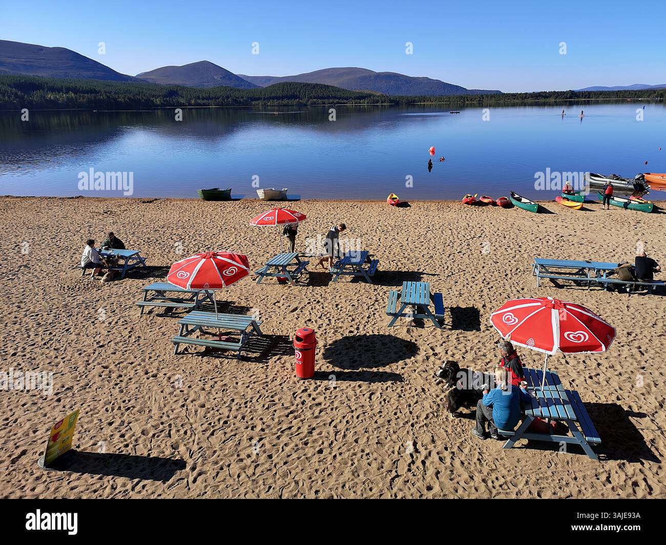 Sandy beach on Loch Morlich in the Cairngorms National Park near Aviemore in Scotland. The beach is glacial outwash and the loch is a kettlehole. - Smartphone Captured Stock Image