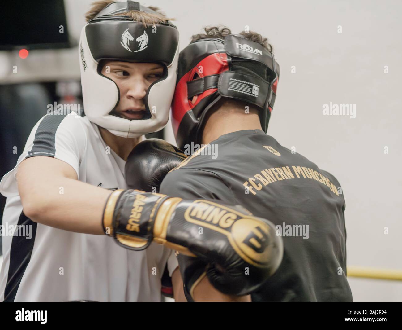 Two boxers are in the ring, one wearing a white shirt Stock Photo - Alamy