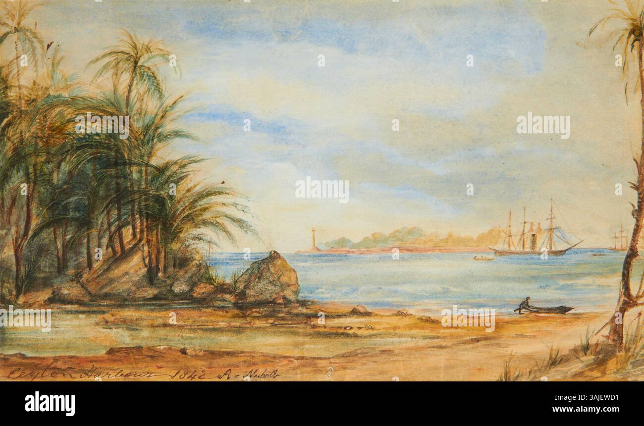 Watercolor painting sri lanka in hi-res stock photography