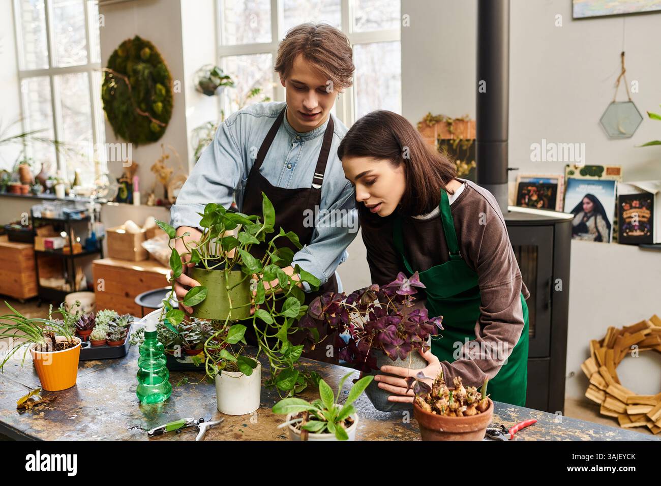 Dynamic arrangement of vibrant colors hi-res stock photography and ...