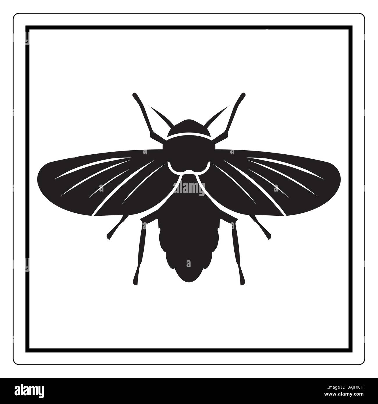 Bee flying on white Black and White Stock Photos & Images - Alamy