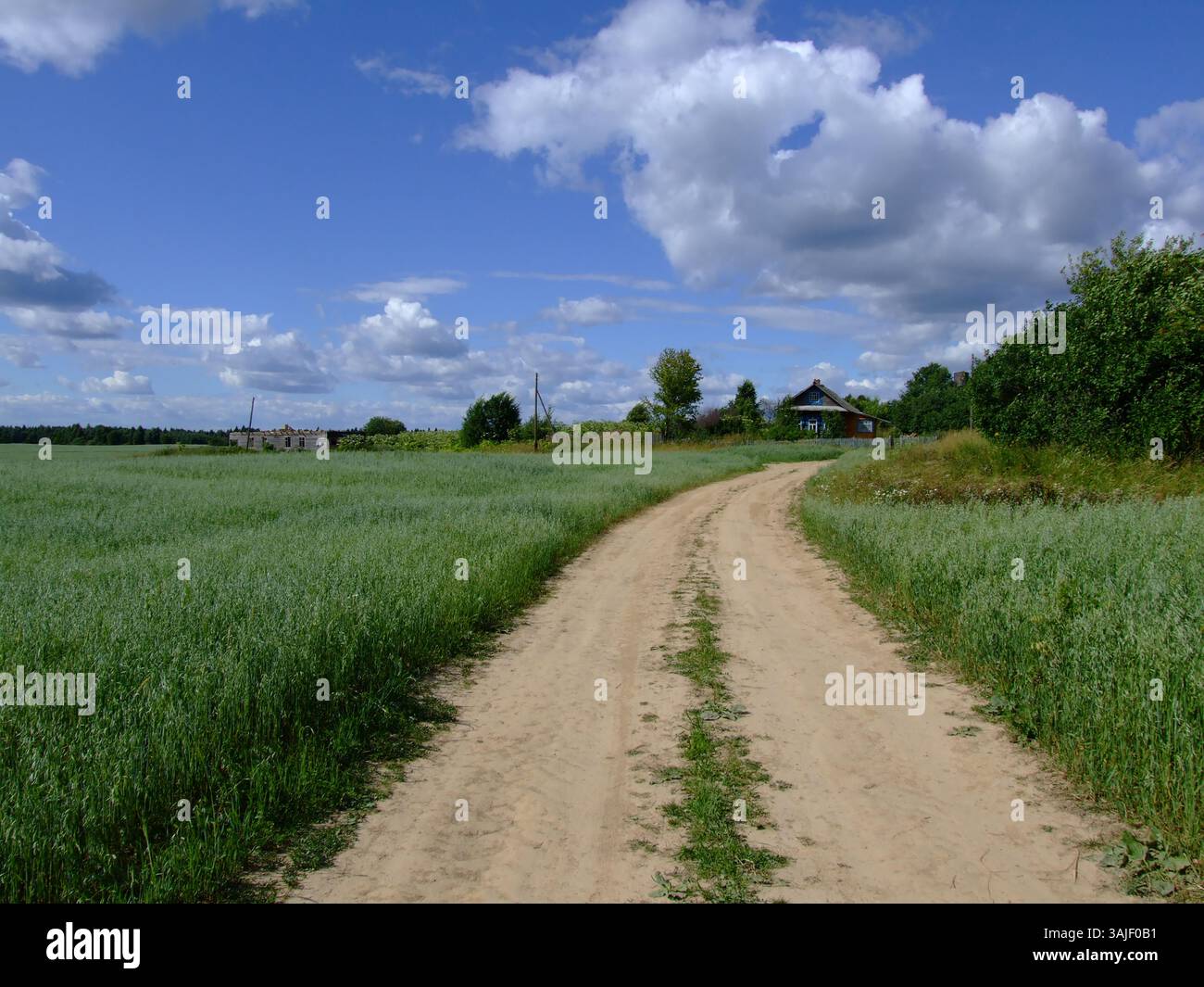 A rural dirt road leads to a quiet Russian village. There are endless ...