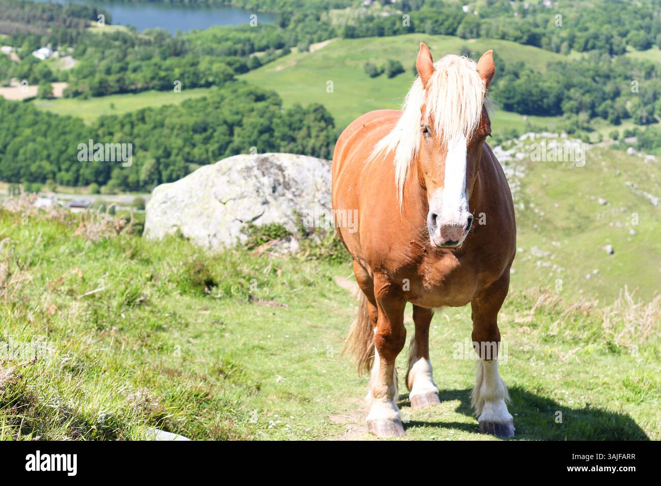 View rolling hills meandering hi-res stock photography and images - Alamy