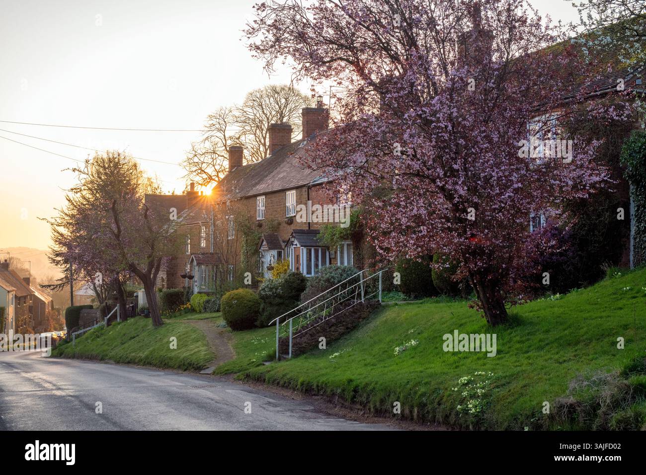 Cottages in the early morning spring sunlight. Great Bourton, Oxfordshire, England Stock Photo