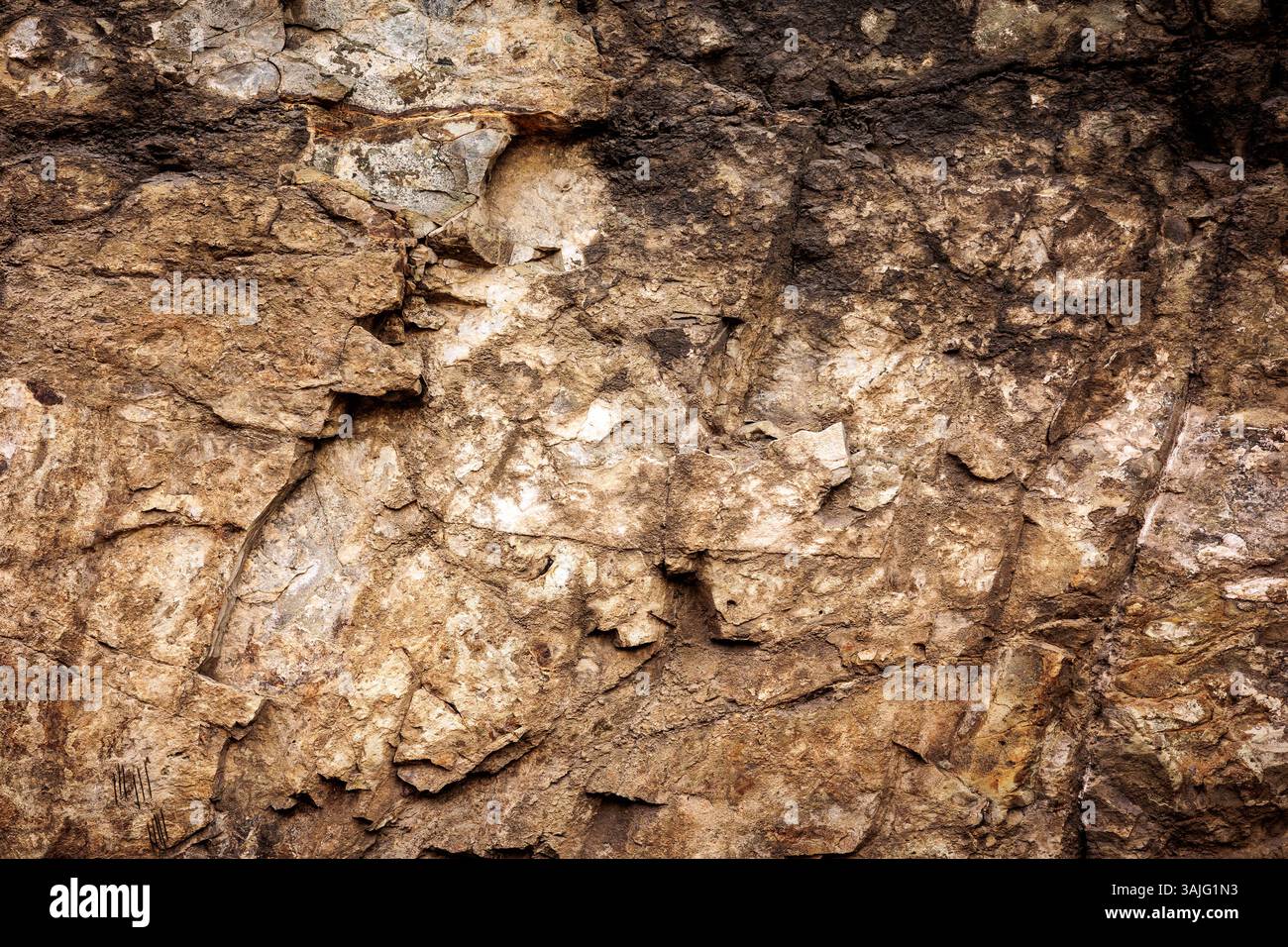 Close-up texture of a natural rocky cliff with rough surface and earthy tones. Ideal for backgrounds, textures, or geological themes. Shot in natural Stock Photo