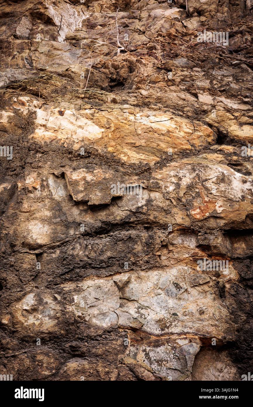 Close-up texture of a natural rocky cliff with rough surface and earthy tones. Ideal for backgrounds, textures, or geological themes. Shot in natural Stock Photo
