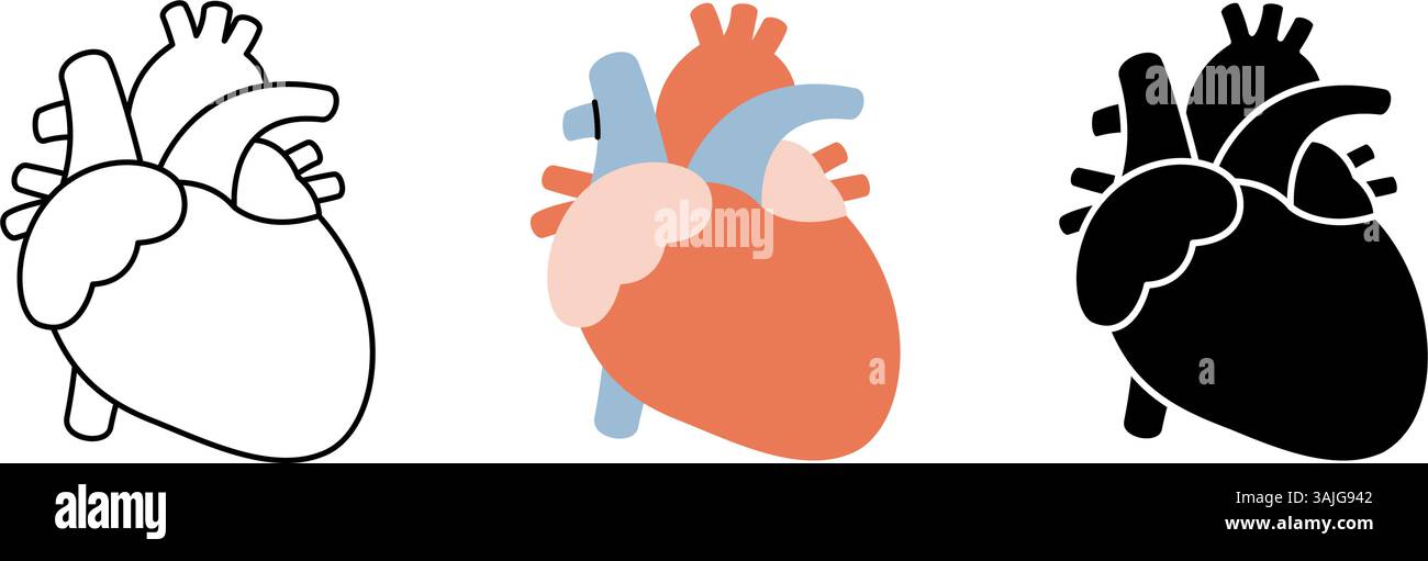 Heart icon set. Human internal organ anatomy. Vector illustration Stock ...