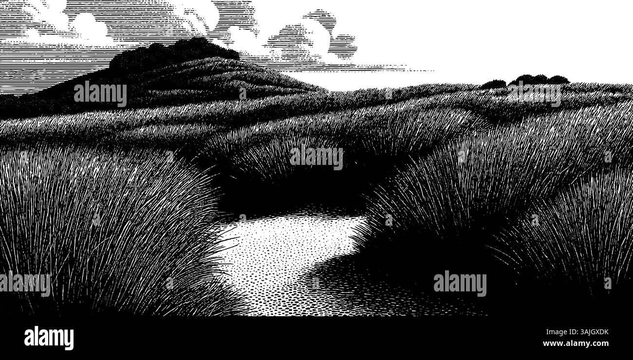 Engraved black and white landscape with hills and sky for print design ...