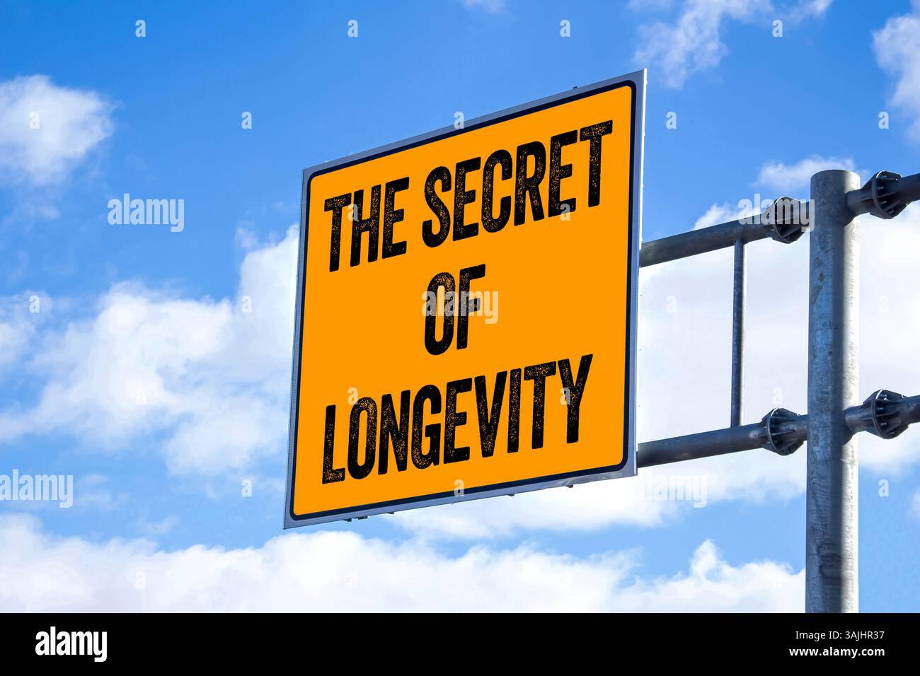 The Longevity Myth: Why “Washed” Is a Lazy Critique in the Algorithm Age