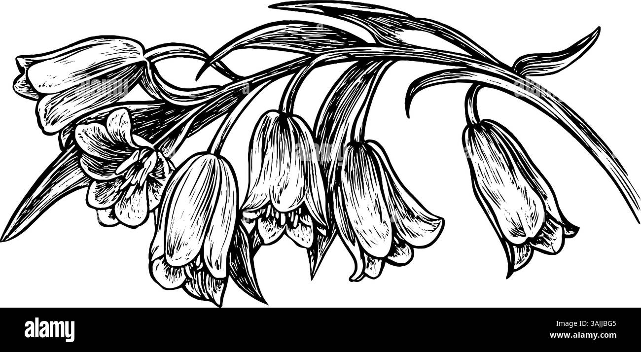A detailed black and white illustration of various flowers, including ...