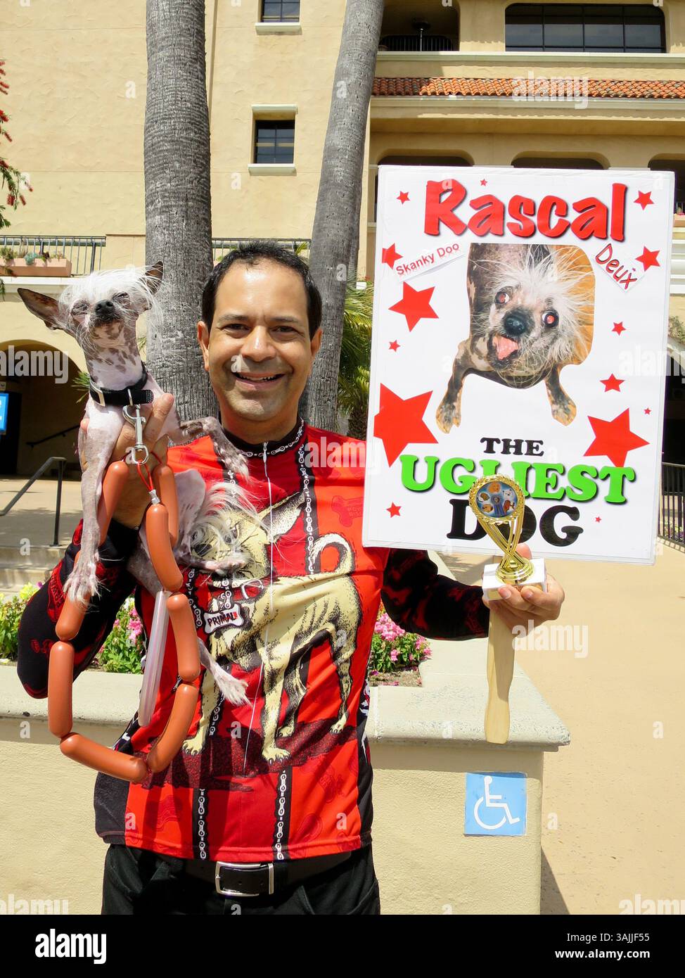 Bat Rascal Colber Rascal ugliest dog hi-res stock photography and images - Alamy