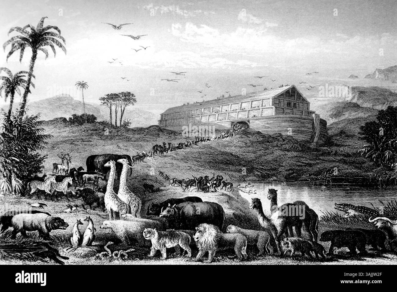 Illustration of the The Entry into the Ark  - Animals Boarding Two by Two into Noah's Ark (Genesis) from 19th Century Brown's Self Interpreting Family Stock Photo